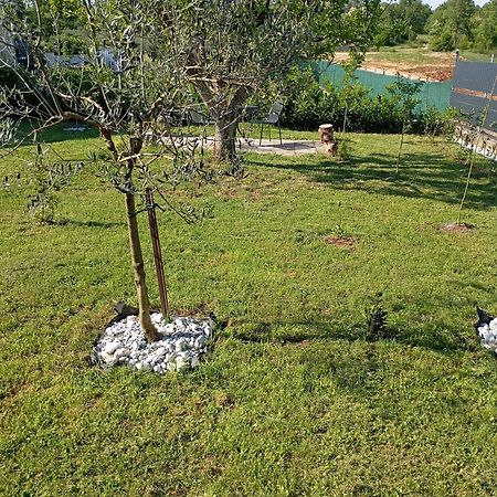 Apartman Jenny-Porec Kosinozici エクステリア 写真