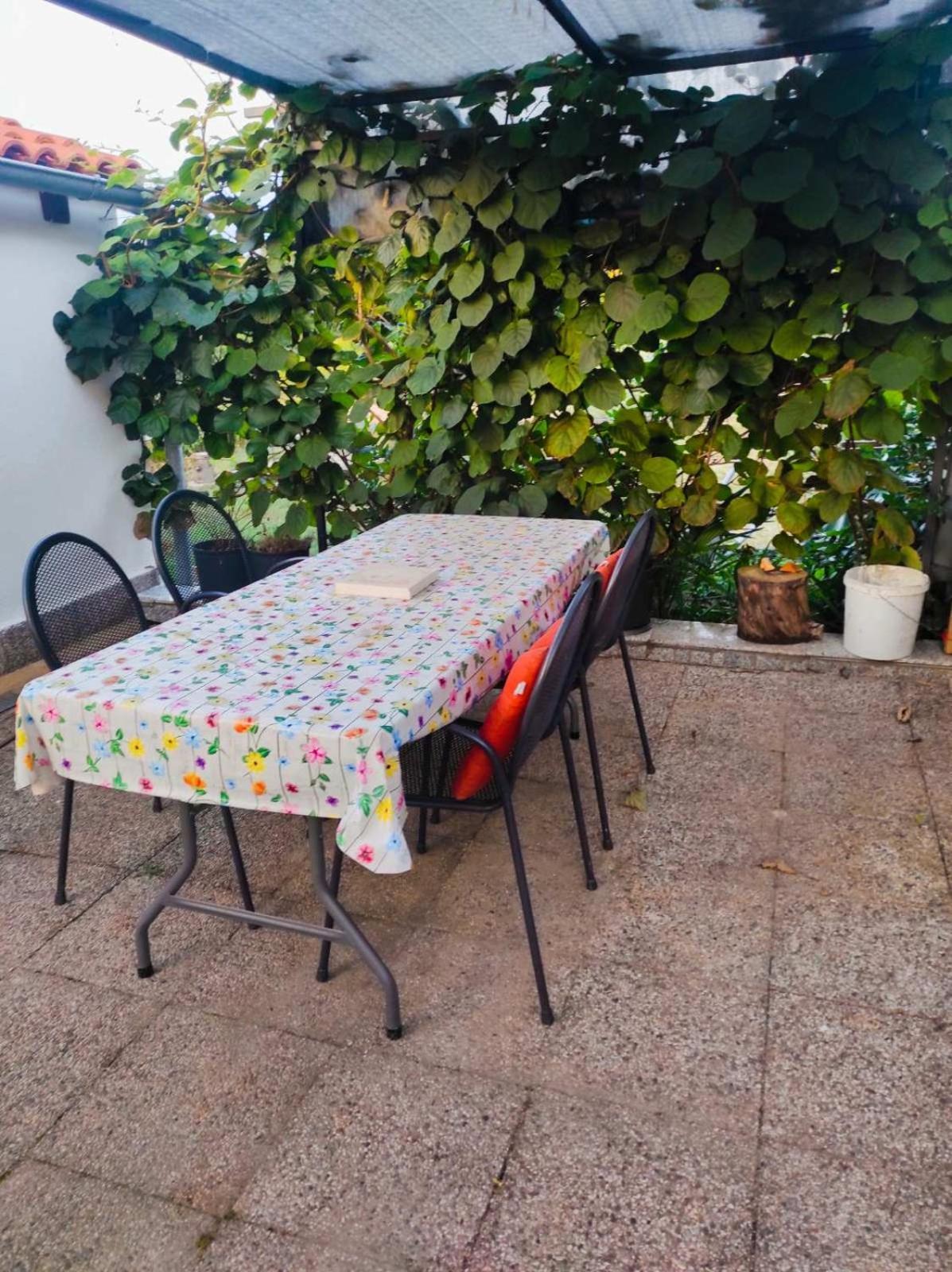 Apartman Jenny-Porec Kosinozici エクステリア 写真