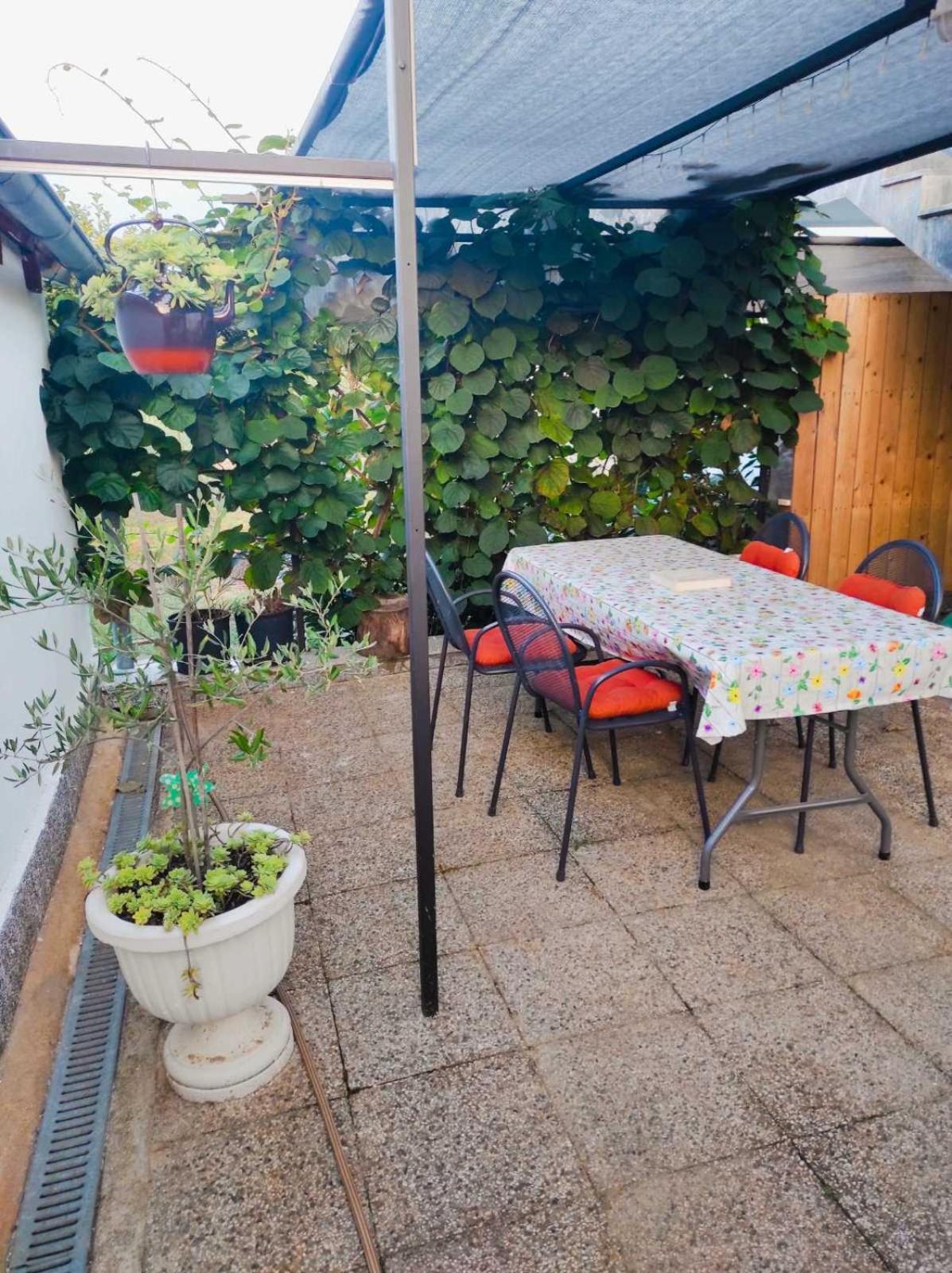 Apartman Jenny-Porec Kosinozici エクステリア 写真