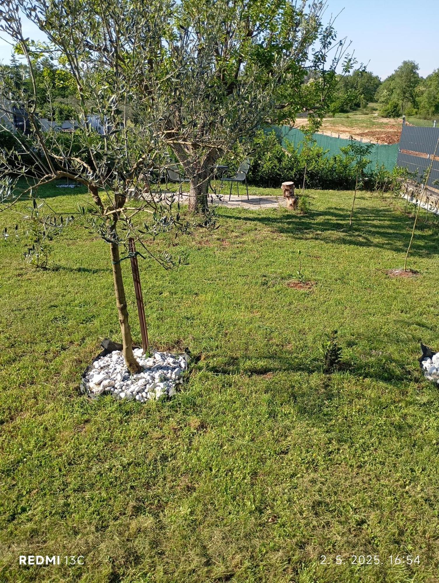 Apartman Jenny-Porec Kosinozici エクステリア 写真